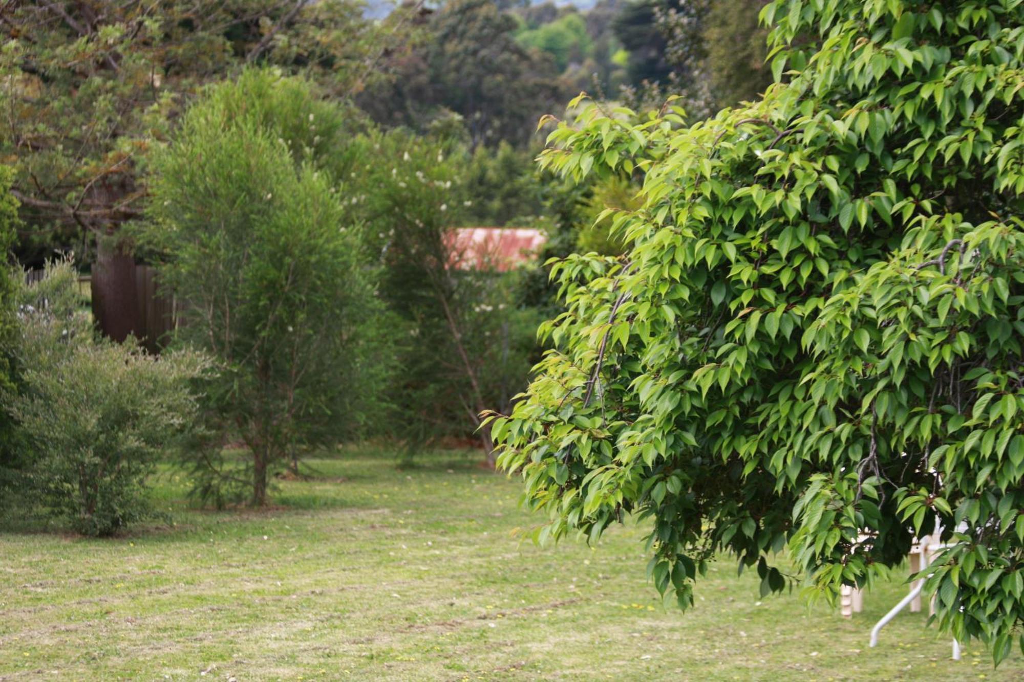Opal Motel Leongatha Luaran gambar